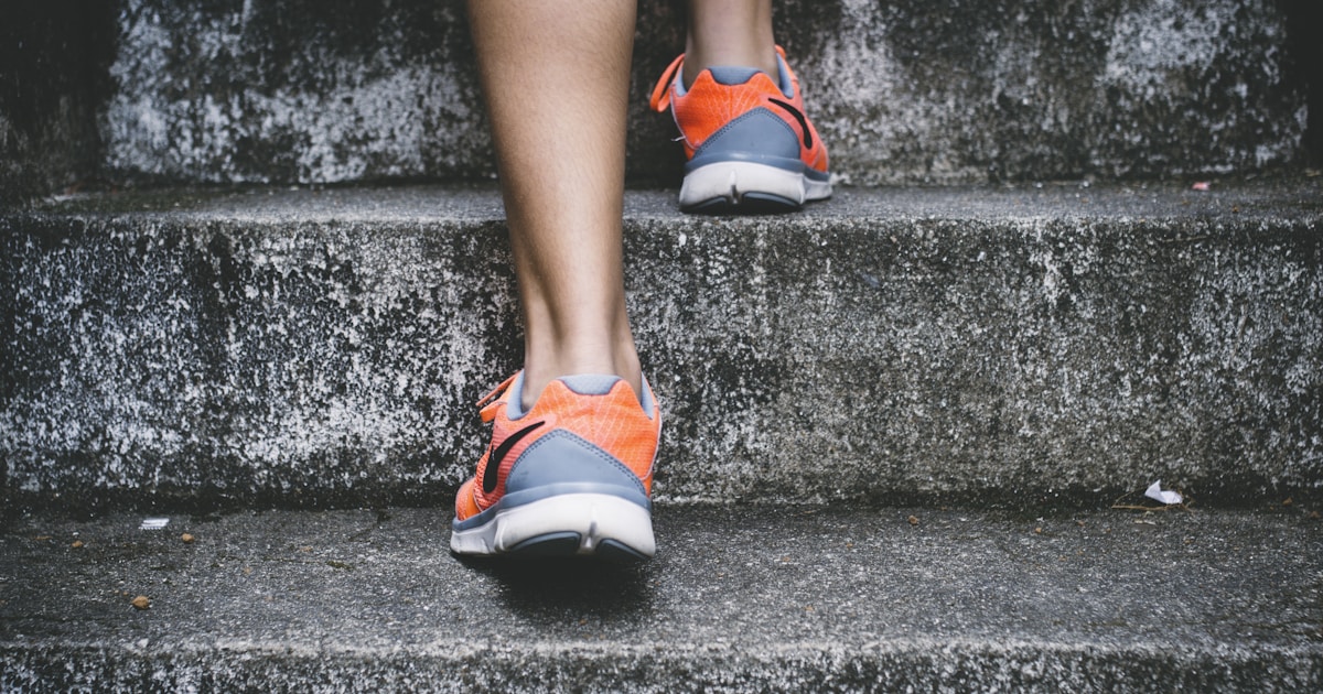 Zone 2 Training: The Overlooked Aerobic Foundation for Knowledge Workers